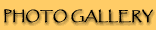Photo Gallery